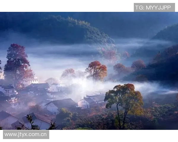 奥纳纳十年成就回顾：无畏挑战勇往直前的人生信念