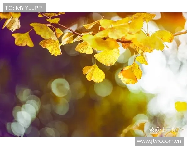 十月庆生,岁月如歌,热爱生活的每一天依然闪耀光芒 十月庆生,岁月如歌,热爱生活的每一天依然闪耀光芒